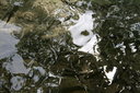 gal/cro 08/_thb_small-IMG_5596.JPG